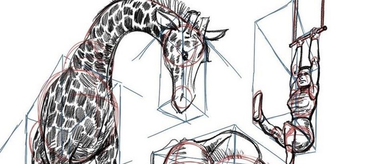 Fundamentals of Drawing for Tweens and Teens