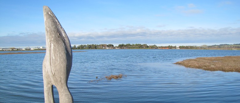Te Whanganui-a-Orotu/Ahuriri Estuary Litter Clean-Up