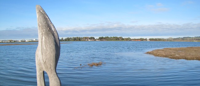 Te Whanganui-a-Orotu/Ahuriri Estuary Litter Clean-Up