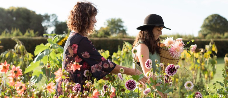 Pick Your Own Flowers at Tomtit Farm