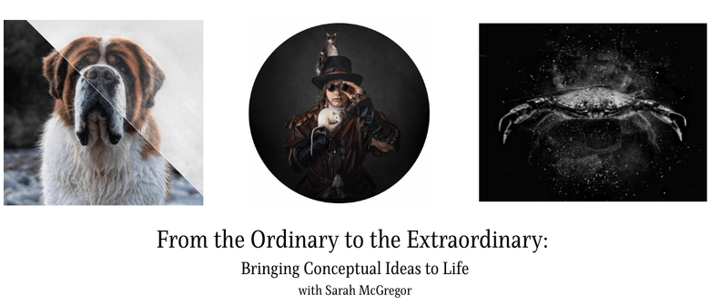 From the Ordinary to the Extraordinary with Sarah McGregor