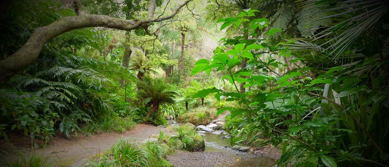 Plants and Poetry - Guided Walk