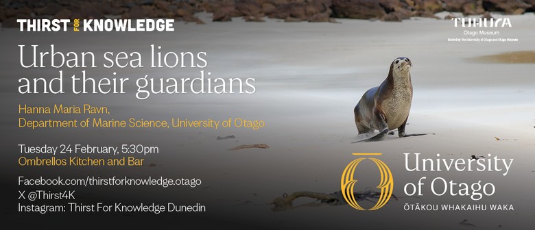 Thirst for Knowledge: Urban sea lions and their guardians