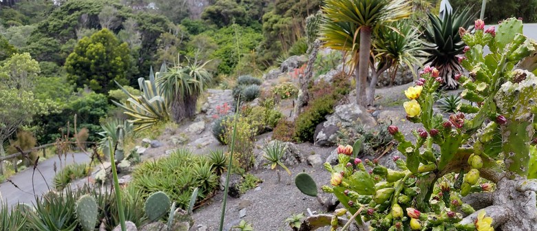 The Secret Life of Desert Plants  - Guided Walk