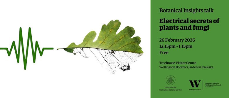 Botanical Insights talk - Electrical secrets of plants and fungi