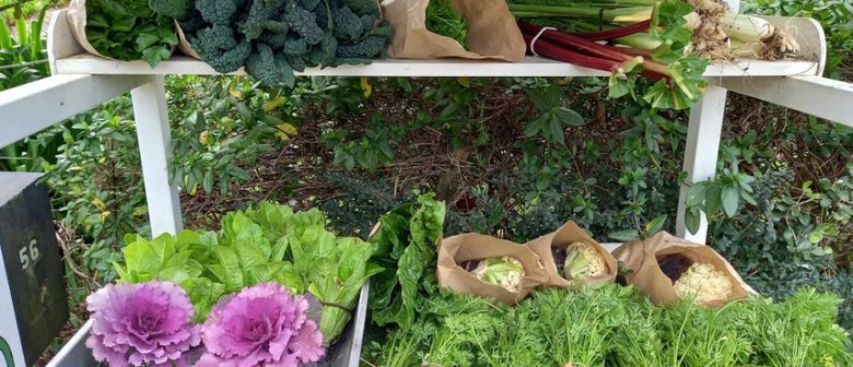 Garden Time - Ecofest