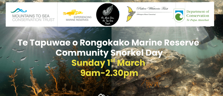 Te Tapuwae o Rongokako Marine Reserve Community Snorkel Day 2026