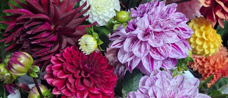 Lavender Magic Flower Farm PYO