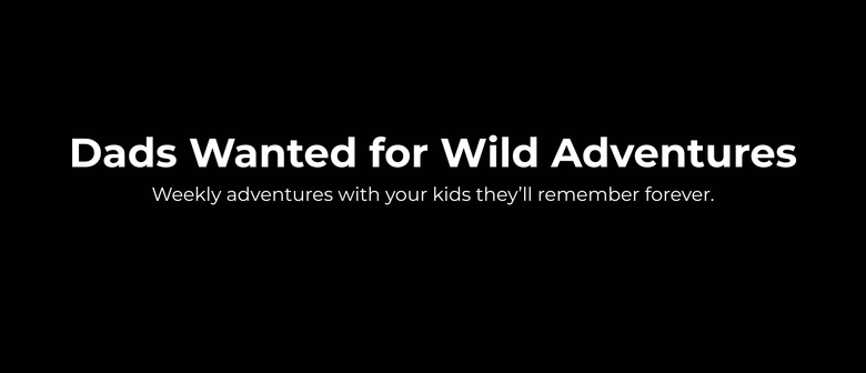 WildDad Palmy &ndash; A Pint, a Chat & Intro