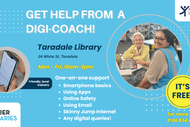 One-on-one Digi-Coach sessions