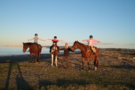 Horse Riding School Holiday Programme