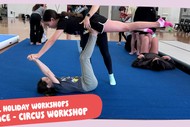 Dust Palace - Circus Workshop