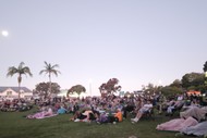 Outdoor Movie - Whale Rider