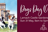 Dogs Day Out