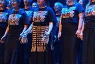 Ngāti Rēhia Community Kapa Haka