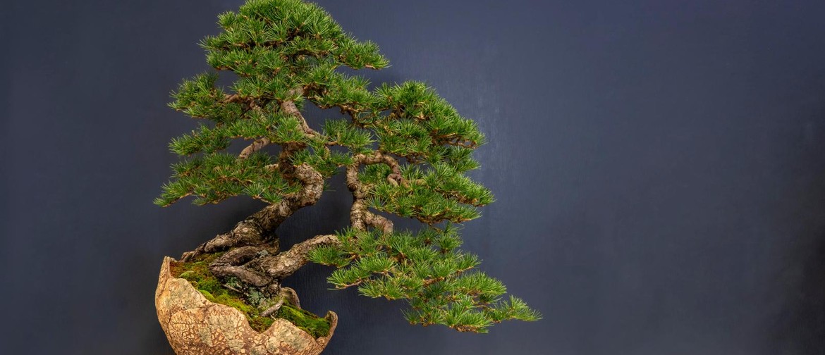 Bonsai Society 2026 Annual Show