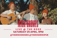 The Irish Gnomes 