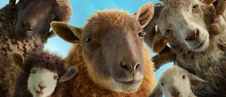 The Sheep Detectives - Auckland - Eventfinda