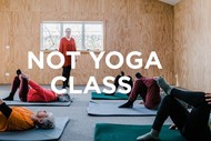 Feldenkrais 