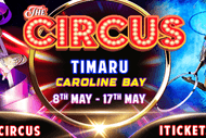 The Circus