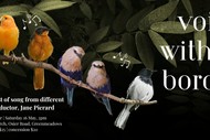 Voices Without Borders