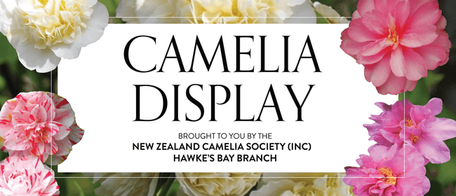 Camelia Display 