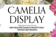 Camelia Display 