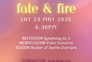 Hawke's Bay Orchestra Fate & Fire - a Classics for Koha concert