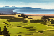 Hawke's Bay Art Trail Exhibition 2026