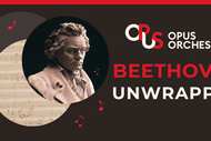Beethoven Unwrapped