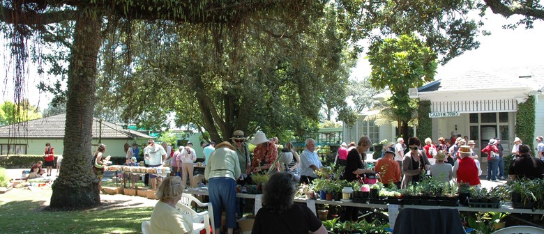 Wilson Home Trust Garden Gala And Family Fun Day Auckland
