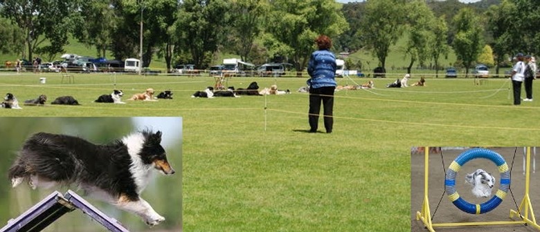 Whangarei Dog Training Obedience & Rally-O Ribbon Trials Whangarei Dog Training Obedience & Rally-O Ribbon Trials