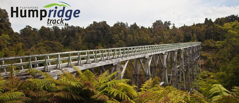 Viaduct Walk and Talk - Tuatapere - Eventfinda