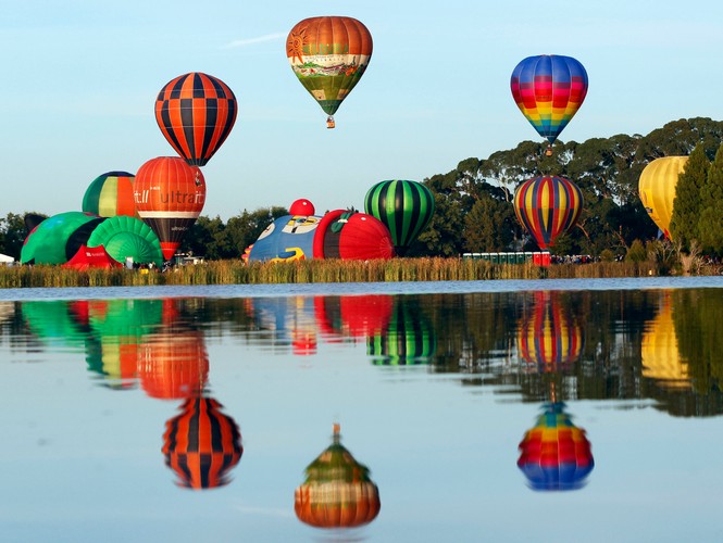 Balloons Over Waikato 2015 Hamilton Eventfinda