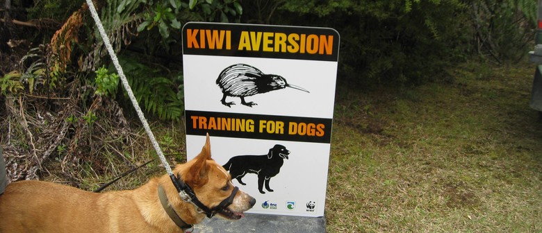 kiwi for dogs kiwi aversion for dogs rotorua eventfinda kiwi for dogs kiwi aversion for dogs rotorua eventfinda
