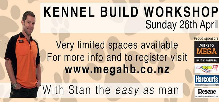 mitre 10 dog kennel