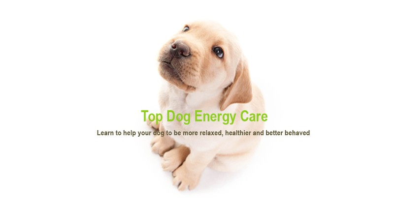 Quick facts about Royce Brook Golf Club In Hillsborough Nj Top Dog Energy Care - Auckland - Eventfinda