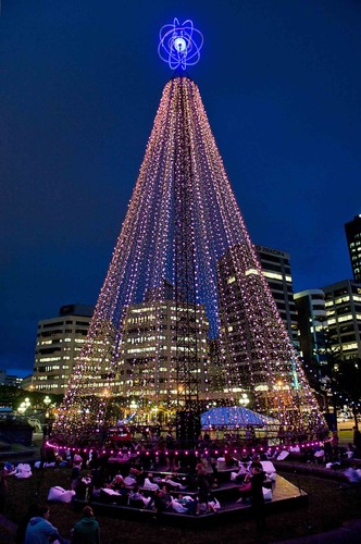 wellington s telecom christmas tree wellington eventfinda wellington s telecom christmas tree wellington eventfinda