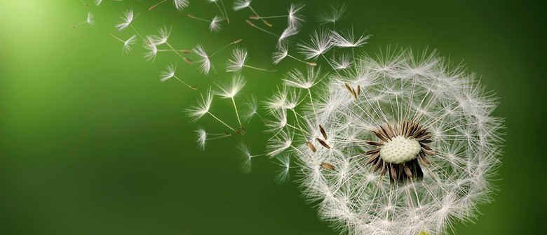 Image result for impermanence