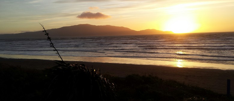 Memorial Day Commemoration United States - Paekakariki ...