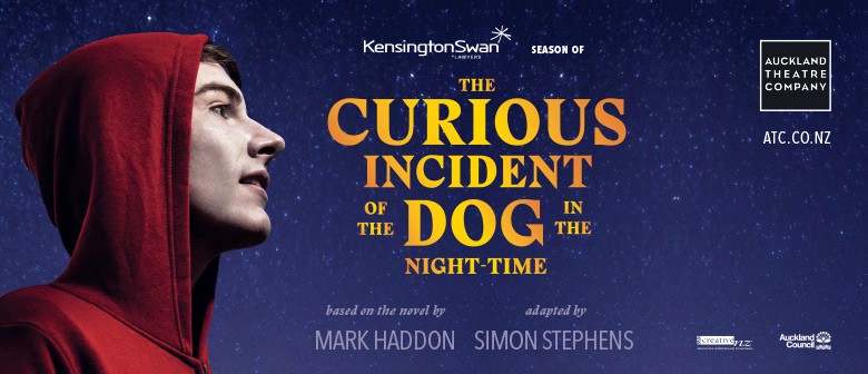questions the curious incident of the questions the curious incident of the