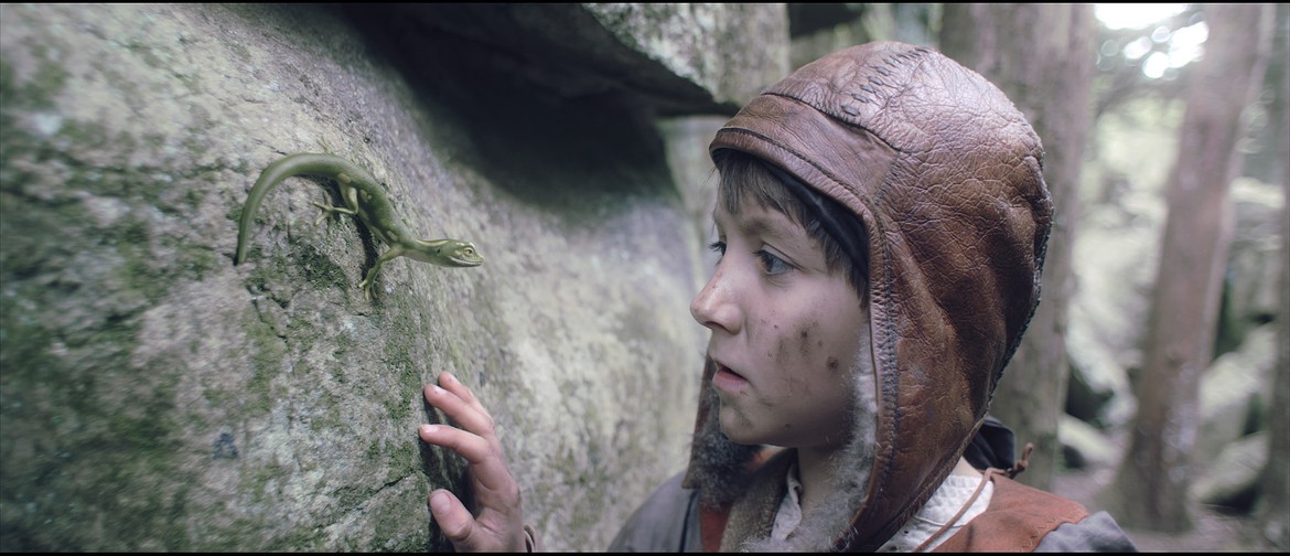 Short Animation Film Short Animation Film