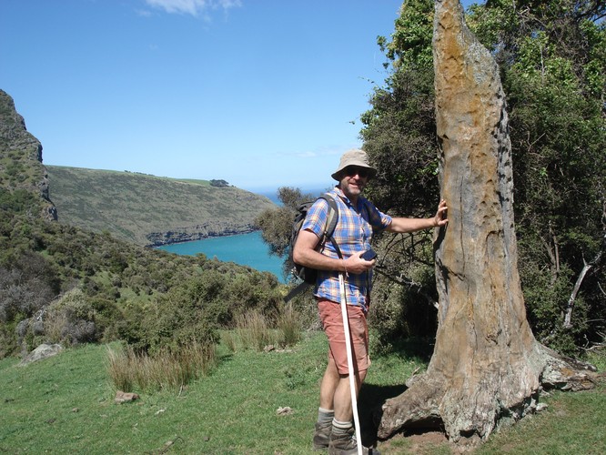 Nikau Palm Gully Marine Reserve All Day Trip Lyttelton Eventfinda