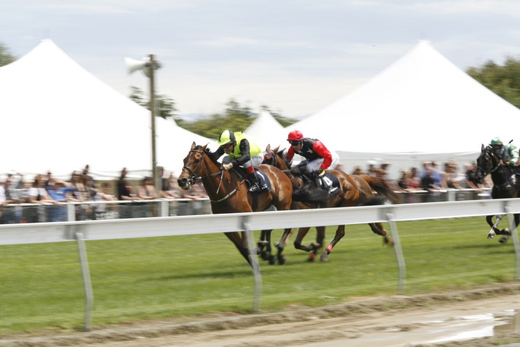 Ascot Park Christmas At the Races - Invercargill - Eventfinda