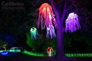 Fiesta of Lights