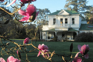 Gwavas Garden, House & Puahanui Bush Tour