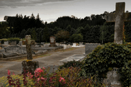 Tiptoe Through The Tombstones