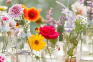 Spring Show Stopper Floral Extravaganza