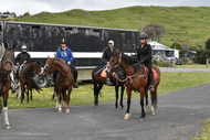 Beach Horse Trek: CANCELLED