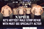 Wild Storm Male Strip Revue